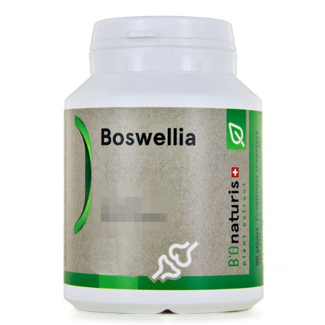 Boswellia